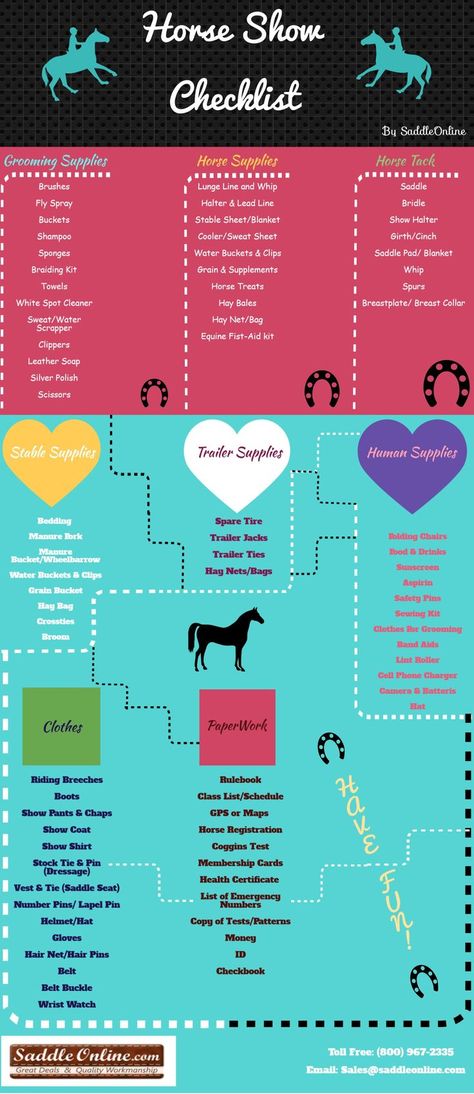 Horse Show Checklist | saddleonline.com Horse Show Checklist, Camping With Dogs, Horse Showing, Horse Information, Winter Horse, Horse Care Tips, Horse Facts, Horse Info, Dog List