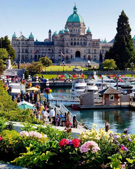 Where the living's easy ☀️ What's your favourite part of Victoria's Inner Harbour? Make sure you swipe ➡️ ✨️ 📍 Victoria, BC ____ . . . #ExploreVictoria #VictoriaBC #YYJ #YYJEvents #ExperienceVancouverIsland #VancouverIsland #ExploreBC #InnerHarbour Traveling List, British Columbia Winter, Victoria Canada British Columbia, Vancouver Trip, Canada Bucket List, Vancouver Vacation, Tofino British Columbia, Whistler Canada, Vancouver Travel