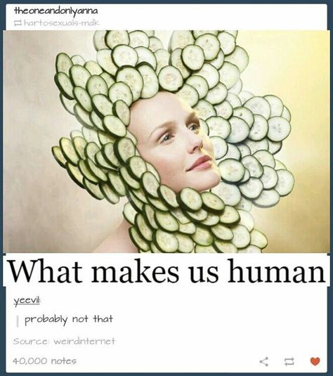 What makes us human? Izu, Six Feet Under, Ride Or Die, Laughing So Hard, What’s Going On, Tumblr Posts, Tumblr Funny, Funny Laugh, Funny Posts