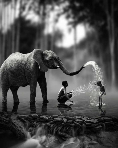 Sabrina (@sabridra64) | Twitter Elephant Love, Foto Art, An Elephant, Jolie Photo, 영감을 주는 캐릭터, 인물 사진, Two People, Animals Friends, Beautiful Photography