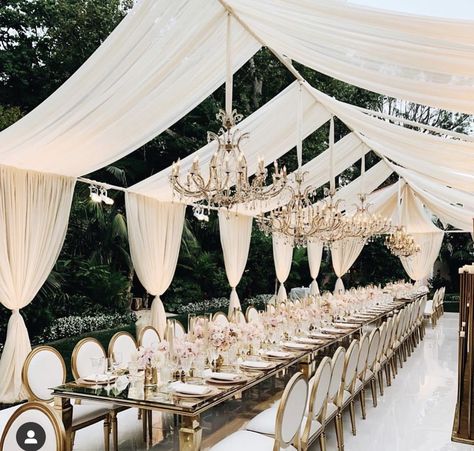 Draped Arch, Wedding Tent Draping, Gold Colour Scheme, Everything Wedding, Southern Charm Wedding, Outdoor Tent Wedding, Wedding Draping, Long Table Wedding, Outdoor Drapes