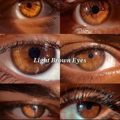 Brown Eye Color Chart Shades, Onyx Brown Eyes, Hazel Contacts On Brown Eyes, Types Of Brown Eyes, Light Brown Eyes Aesthetic, Honey Brown Eyes, Caramel Eyes, Golden Brown Eyes, Amber Eyes Color