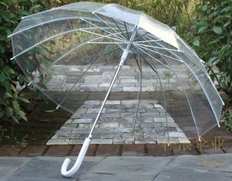 Clear Umbrella Wedding, Umbrella Wedding Photos, Dome Umbrella, Bubble Umbrella, Custom Umbrella, Transparent Umbrella, Parasol Wedding, Clear Umbrella, Cute Umbrellas