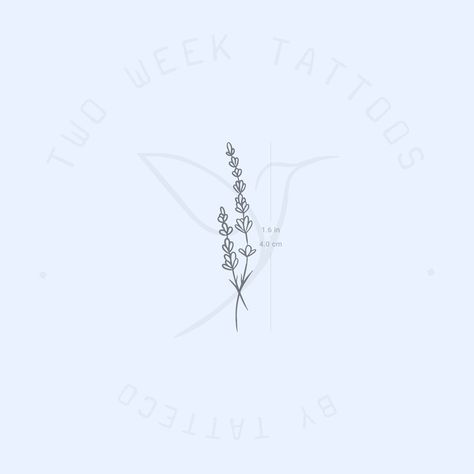 Long-lasting lavender temporary tattoo. Set of two. Size: 1.6 in / 4 cm (height) THIS TEMPORARY TATTOO: * Develops in 24h * Can last up to two weeks or more, although it depends where you place it, your skin chemistry, and how much you exfoliate * Once you feel it has faded enough, you can exfoliate the skin to remove it * Safe & non-toxic, 100% plant-based juice ink formula * Is waterproof * Is environmentally friendly (tattoos and packaging made out of paper, no plastic film) HOW TO APPLY: 1) Small Tattoos Lavender, Dainty Lavender Tattoo, Simple Lavender Tattoo, Lavender Bouquet Tattoo, Fine Line Lavender Tattoo, Lavender Tattoo Design, Lavender Tattoos, Stardust Tattoo, Lavender Stamp