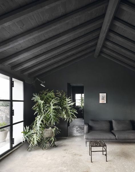 Planked Ceiling, Dark Ceiling, Garage Remodel, Space Apartments, Minimalist Apartment, Uk Photography, Elle Decoration, Modern Mountain, Black Ceiling