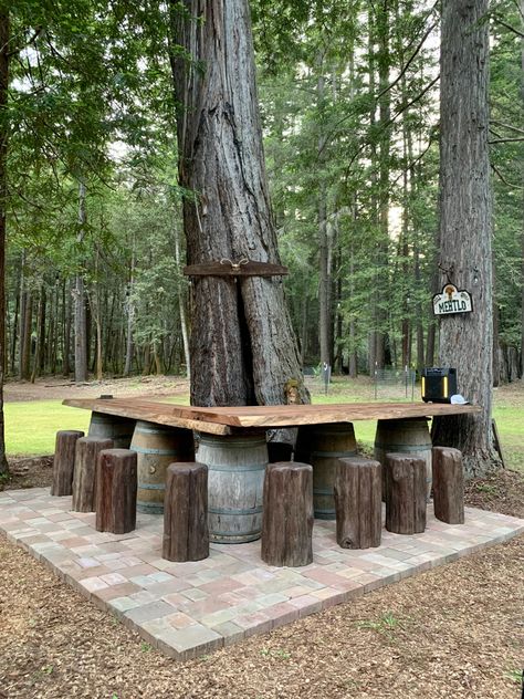 Forest Restaurant Outdoor, Hang Out In The Woods, Forest Chill Area, Cabin Landscape Ideas Woods, Backyard Forest Ideas, Woods Living, Rustic Outdoor Seating, Hangout In The Woods, Backyard Picnic Area