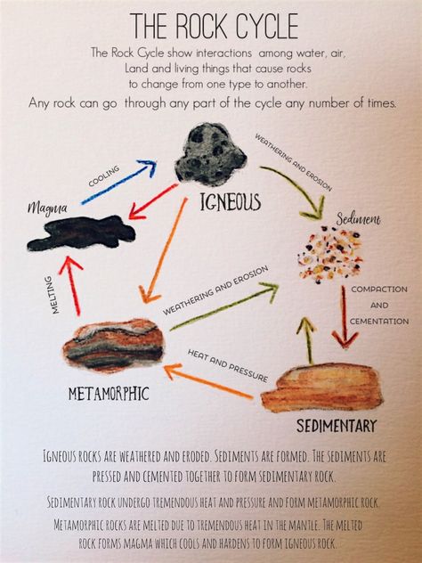 Rock Cycle Project, Rock Cycle Activity, School Facts, Agriculture Classroom, Cycle Drawing, Science Earth, Science Room, Homeschool Lessons, Geography Activities