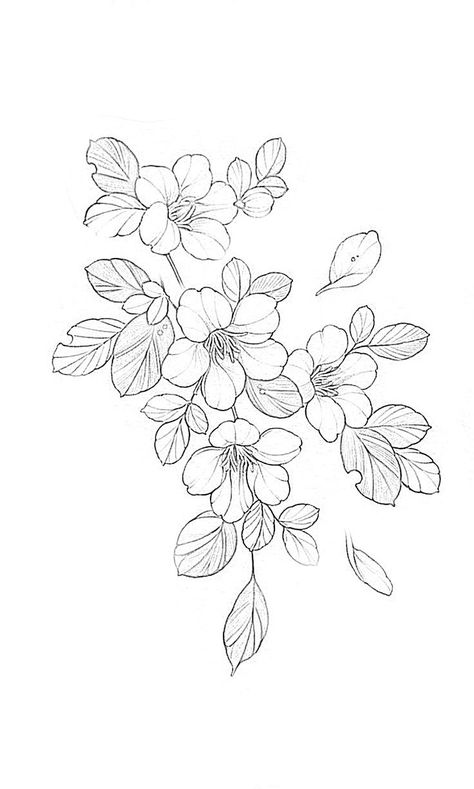 Outline Flowers Tattoo, Flower Sketch Reference, Floral Design Outline, Japanese Flower Outline, Flowers Outline Design, Blossom Flower Tattoo Design, Cherry Blossom Outline Tattoo, Flower Tattoo Outline Drawing, Cherry Blossom Flowers Tattoo