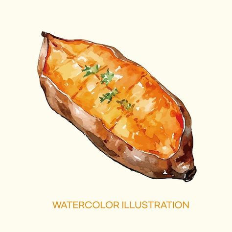 Watercolor illustration of sweet potato | Premium Vector #Freepik #vector #potato #potatoes #savory #water-color Sweet Potato Brulee, Sweet Potato Illustration, Potato Illustration, Potato Drawing, Potato Food, Potato Print, Food Shots, Animal Based, Free For Commercial Use