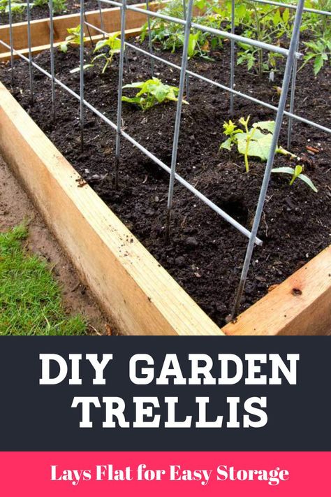 Garden Trellis For Squash, Diy Trellis For Raised Garden Bed, Bean Trellis Ideas Raised Beds, Remesh Sheet Trellis, Diy Trellis For Tomatoes, Diy Pea Trellis Raised Beds, Trellis For Cucumbers Raised Beds, Diy Green Bean Trellis, Trellis Raised Garden Beds