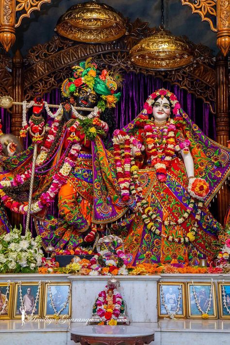 Mayapur Radha Krishna Hd Wallpaper, Iskon Mayapur Radha Krishna, Iskon Radha Krishna Murti, Radha Madhav Iskcon Mayapur, Radhakrishna Wallpaper Full Hd, Iskon Radha Krishna, Shree Krishna Wallpaper, Radhe Krishna Photo, Lord Shree Krishna