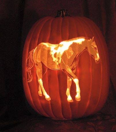 Pumkin Decoration, Pumkin Carving, Amazing Pumpkin Carving, Pumpkin Carving Designs, Pumpkin Designs, Pumpkin Carving Patterns, Carved Pumpkin, Jack O'lantern, Creative Pumpkins