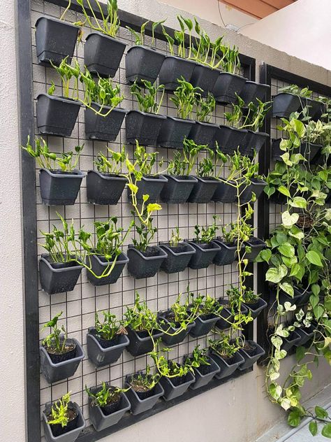 Indoor Greenhouse Ideas, Pothos Wall, Solarium Ideas, Garden Wall Planter, Vertical Wall Planters, Indoor Greenhouse, House Interior Design Styles, Vertical Farming, Greenhouse Ideas