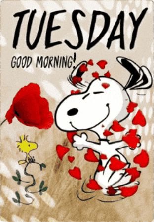 Tuesday Gif, Happy Tuesday Images, Happy Tuesday Morning, Its Only Tuesday, Tuesday Images, Hello Tuesday, Good Morning Tuesday, Morning Love Quotes, Happy Gif