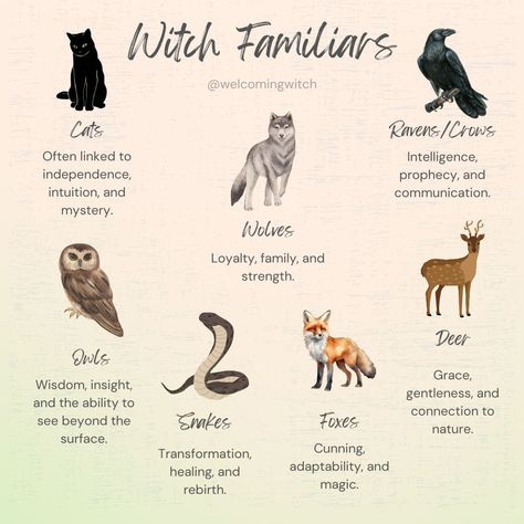 Happy International Cat Day! There’s something truly magical about the bond between humans and animals. Have you ever felt a strong connection to a particular animal? The crow, with its sleek black feathers and piercing gaze, has long been revered as a symbol of wisdom, prophecy, and communication. This intelligent and adaptable bird is a powerful spirit animal, offering guidance and insight into the mysteries of the world. This is the animal that I feel most connected to! Share your spir... Crow Symbolism, Witchy Notes, Crow Magic, Black Cat Familiar, Spirit Animals Book, Cat Symbol, Crow Spirit Animal, Bird Symbolism, Cat Symbolism