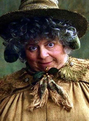 Professor Sprout Professor Trelawney, Professor Sprout, Miriam Margolyes, Hogwarts Halloween, Harry Potter Professors, Hogwarts Professors, Harry Potter Cosplay, Harry Potter Halloween, Harry Potter Costume