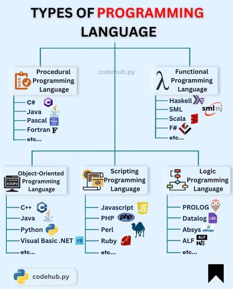 Coding Pictures, Python Programming For Beginners, Cybersecurity Infographic, Programming For Beginners, Computer Languages, Comp Sci, Data Engineer, Computer Programming Languages, Python Code