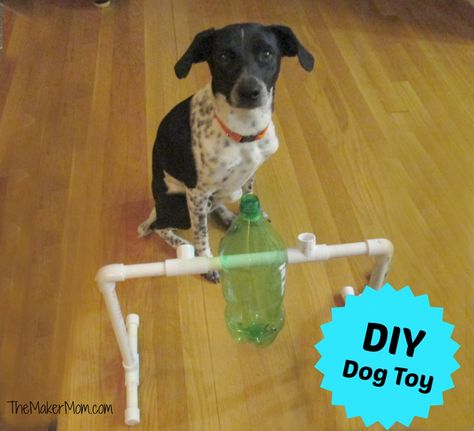 Diy Puppy Toys, Dog Treat Dispenser, Dog Puzzle Toys, Diy Dog Toys, Positive Dog Training, Basic Dog Training, Dog Enrichment, Treat Dispenser, Diy Dog Treats