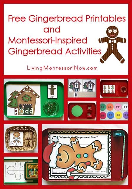 Prek Gingerbread, Gingerbread Preschool, Preschool Gingerbread, Gingerbread Man Unit, Gingerbread Unit, Gingerbread Man Activities, Gingerbread Activities, Gingerbread Baby, Gingerbread Theme