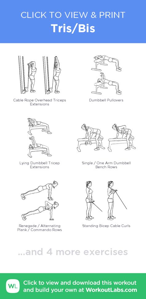 Tris/Bis – click to view and print this illustrated exercise plan created with #WorkoutLabsFit Tris And Bis Workout Gym, Chest Tris And Bis Workout, Chest And Tris Workout, Tris And Bis Workout Dumbell, Chest Tris And Shoulders Workout, Workout Labs, Family Fitness, Free Workouts, Fitness Training