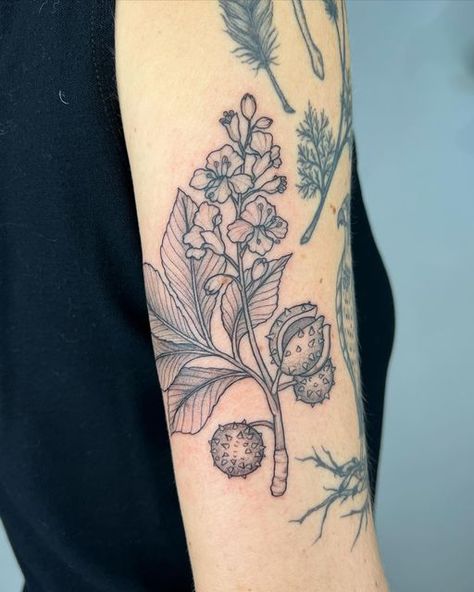 Chestnut Leaf Tattoo, Chestnut Tree Tattoo, Conker Tattoo, Monkshood Tattoo, Chestnut Tattoo, Witchy Sleeve, Horse Chestnut Leaves, Tree Branch Tattoo, Horse Chestnut Trees