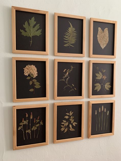 Pressed Flowers Diy, Koti Diy, Wall Art Diy Paint, Pressed Flower Crafts, Deco Nature, Wall Art Ideas, Pressed Flower Art, Deco Floral, Art Living Room