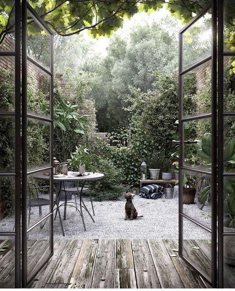 Little Garden, Courtyard Garden, Back Garden, Outdoor Rooms, Dream Garden, Garden Room, Backyard Garden, Garden Inspiration, Patio Garden