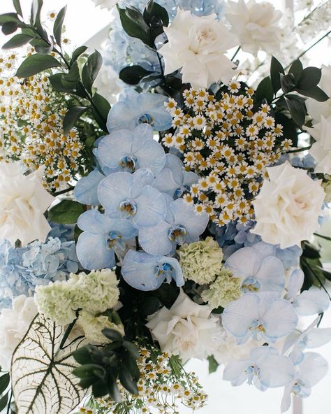 Wedding Flowers With Blue, Blue Wedding Aesthetic, Blue Wedding Florals, Blue And White Wedding Flowers, Blue Orchid Bouquet, Blue Flowers Wedding, Blue Bridal Bouquet, Bermuda Wedding, Blue Flower Arrangements