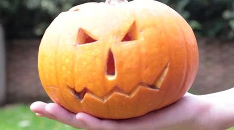 Easy Pumpkin Carving Ideas, Pumpkin Carving Tips, Pumpkins For Sale, Creative Pumpkin Decorating, Easy Pumpkin Carving, Creative Pumpkin Carving, Amazing Pumpkin Carving, Pumpkin Carving Designs, Lantern Designs