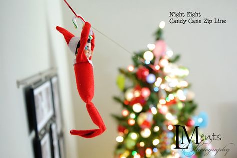 8 - Night Eight - Candy Cane Zip Line Elf On The Shelf Ideas Zipline, Zip Lining Elf On The Shelf, Elf Zipline, Elf Candy Cane Forest, Photography Photos, Christmas Inspiration, Candy Cane, Elf On The Shelf, Elf