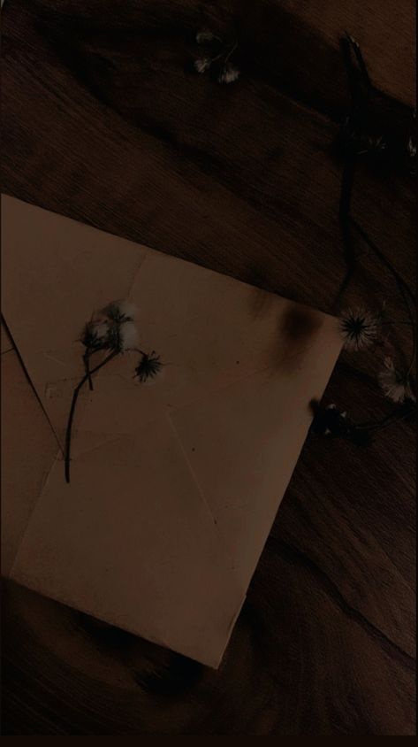 Letter Dark Academia, Written Letters Aesthetic, Handwritten Letter Aesthetic, Letter Aesthetic, Picture Layouts, Aesthetic Letters, Vintage Lettering, Brown Aesthetic, Letter Paper