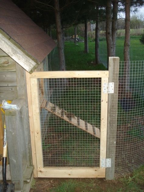 Old Tree House, Chicken Brooder Box, Chickens Coop, Diy Dog Gate, Backyard Coop, Chicken Barn, How To Raise Chickens, Backyard Chicken Coop Plans, Chicken Coup