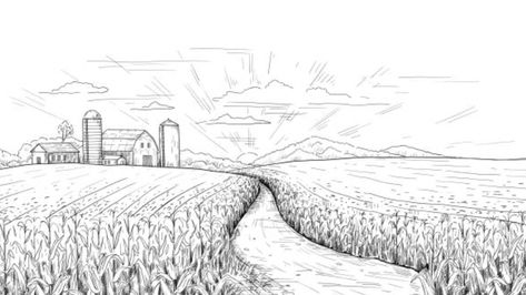 Drawing Landscape Ideas, Farm Drawing Landscape, Field Drawing Easy, Wheat Field Drawing, Farm Sketch, Farm Drawing, Field Drawing, Corn Farm, Wet Felting Projects