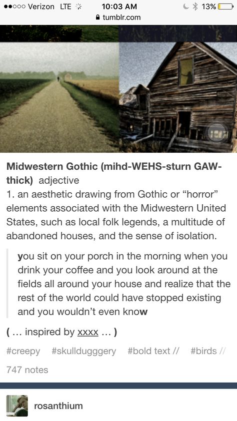 More Midwest Gothic Midwest Gothic Tumblr, Creepy Midwest Aesthetic, Missouri Gothic, Minnesota Gothic, Ohio Gothic, Midwest Horror, American Gothic Aesthetic, Gothic Aesthetic Pfp, Midwest Gothic Aesthetic