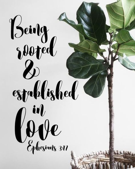 That Christ may dwell in your hearts by faith; that ye being rooted and grounded in love [Ephesians 3:17] Ephesians 3 17, Love Should Be, He Loves Us, Fig Plant, Christian Resources, Tree Table, Scripture Print, How He Loves Us, Fiddle Leaf