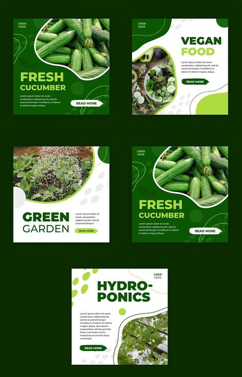 Green Vegetables Instagram Post Template PSD Agriculture Instagram Feed, Plant Social Media Post, Farm Social Media Post, Vegetable Poster Design, Green Instagram Feed, Greens Restaurant, Post Sticker, Vegetable Design, Organic Market