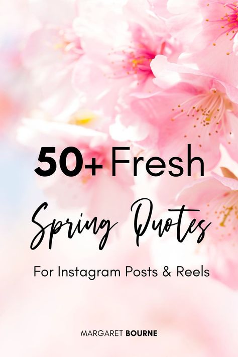 Get inspired with over 50 Spring quotes for Instagram posts and reels. From general Spring quotes to funny, short Spring quotes. Perfect for your Instagram captions and posts. Short Spring Quotes, Quotes For Instagram Posts, Spring Quotes, General Quotes, Quotes For Instagram, First Day Of Spring, Flower Quotes, Funny Short, Spring Day