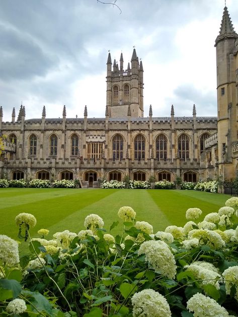 Honors at Oxford – Page 2 – Global Engagement Fellows Future Environment, Magdalen College, University Aesthetic, Life Manifestation, Landscape Reference, Summer Courses, Oxford England, London Summer, New College