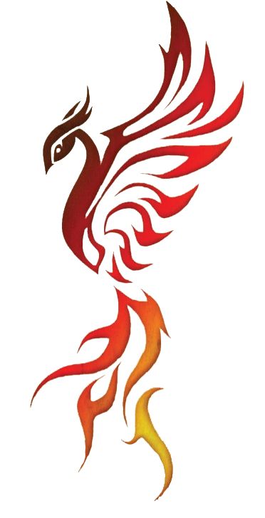 Celtic Phoenix Tattoo, Tattoo Celtic, Word Tattoos With Meaning, Phoenix Tattoo Design, Phoenix Tattoo, Word Tattoos, With Meaning, Tattoos With Meaning, Tattoo Design