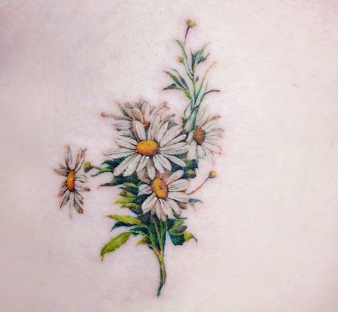 Botanical daisy tattoo Poppies And Daisies Tattoo, Hummingbird Daisy Tattoo, Daisy Cluster Tattoo, Vintage Daisy Tattoo, Butterfly On Daisy Tattoo, Shasta Daisy Tattoo, Wild Daisy Tattoo, Coloured Daisy Tattoo, Botanical Daisy Tattoo