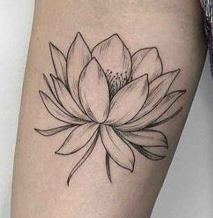 Simple Lotus Flower Tattoo, Simple Lotus Tattoo, Lotus Flower Tattoos, Lotusblume Tattoo, Small Lotus Tattoo, Lotus Tattoos, Water Lily Tattoos, Lotus Flower Tattoo Design, Totem Tattoo