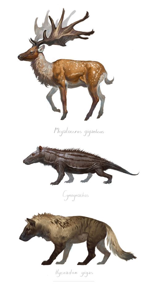 Extinct Mammals, Kat Berkley on ArtStation at https://www.artstation.com/artwork/nBa2X Prehistoric Mammals, Weird Mammals, Extinct Mammals, Cenozoic Era Animals, Speculative Evolution Animals, Ancient Animals Extinct, Prehistoric Animals Dinosaurs, Prehistoric Wildlife, Prehistoric World