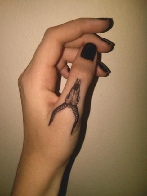 Capricorn Tattoo Finger, Bull Skull Finger Tattoo, Cow Finger Tattoo, Cow Skull Hand Tattoo, Finger Skull Tattoo, Skull Finger Tattoo, Skull Finger Tattoos, Thumb Tattoo, Cow Skull Tattoos