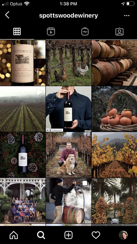 Winery Instagram Story, Wine Shop Instagram Feed, Winery Branding Photography, Wine Instagram Post Ideas, Winery Instagram Feed, Wine Social Media Post, Wine Instagram Feed, Wine Social Media Design, Winery Social Media