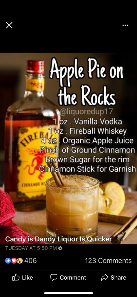 Apple Pie Drink, Fireball Drinks, Whiskey Drinks Recipes, Fruity Mixed Drinks, Adult Beverages Recipes, Hot Toddies Recipe, Booze Drink, Liquor Recipes, Cocktail Drinks Alcoholic