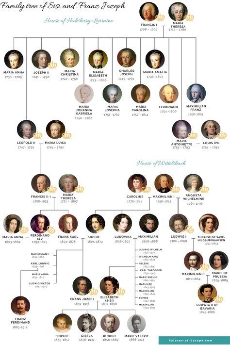 Franz Joseph and Sisi family tree Habsburg Family Tree, Romanov Family Tree, House Of Plantagenet, Ancestry Family Tree, Appliance Garage, Franz Joseph, Romanov Family, Family Trees, Fascinating Facts