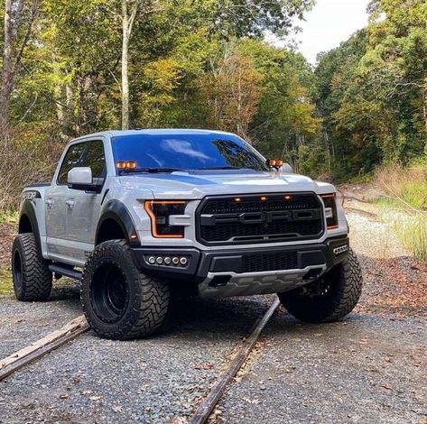 Ford Raptor Truck, Raptor Truck, Jeep Pickup Truck, Ford F150 Raptor, Ford Trucks F150, Ford Ranger Raptor, Ford Ranger Truck, Ford Mustang Fastback, Jeep Pickup