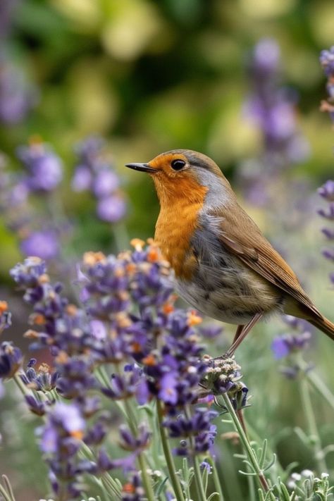 Creating a Wildlife-Friendly Garden is a beautiful and eco-friendly choice for any outdoor space! 🐦🌿 Designed with native plants and eco-friendly features, these gardens blend nature with environmental care. Easy to cultivate and bursting with life, Creating a Wildlife-Friendly Garden supports local wildlife. Enjoy this vibrant twist on gardening today! 🌼✨ #WildlifeFriendlyGarden #SustainableGardening #EcoFriendlyHabitat #GreenLiving Wildlife Conservation Aesthetic, Garden Supports, Uk Wildlife, Wildlife Garden, Sensory Garden, Wildlife Gardening, Sustainable Garden, Native Garden, Wildlife Conservation