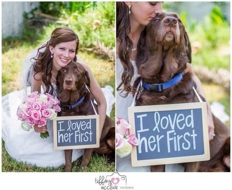 14 Wedding Signs For Dogs That Are Just Plain Paw-some | HuffPost Photography Jobs, Wedding Pets, Online Photography, Dog Wedding, Wedding Goals, Future Mrs, Wedding Pics, Mr Mrs, Here Comes The Bride