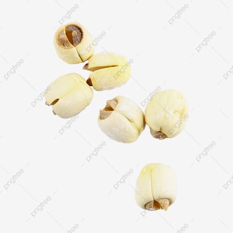 Childhood Breakfast, Seed Illustration, Lotus Seeds, Lotus Seed, Lotus Pond, Transparent Image, Png Transparent, Png Image, Prints For Sale